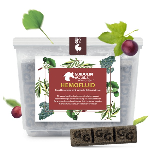 BISCOTTI HEMOFLUID 600 GR Guidolin  